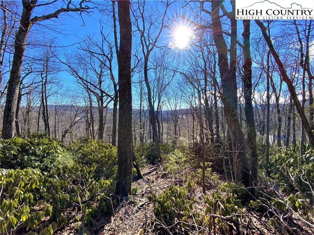 Image number 1 for the current listing