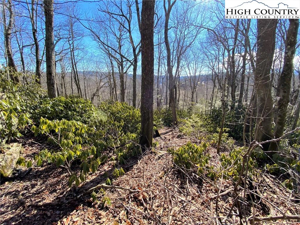 Image number 3 for the current listing