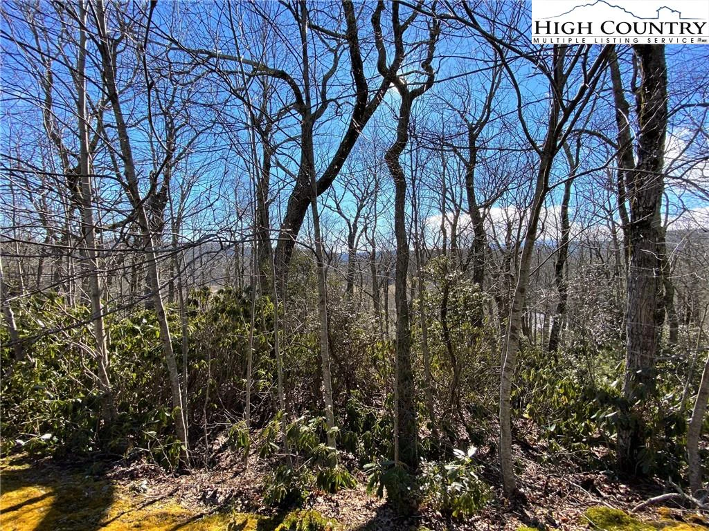 Image number 4 for the current listing