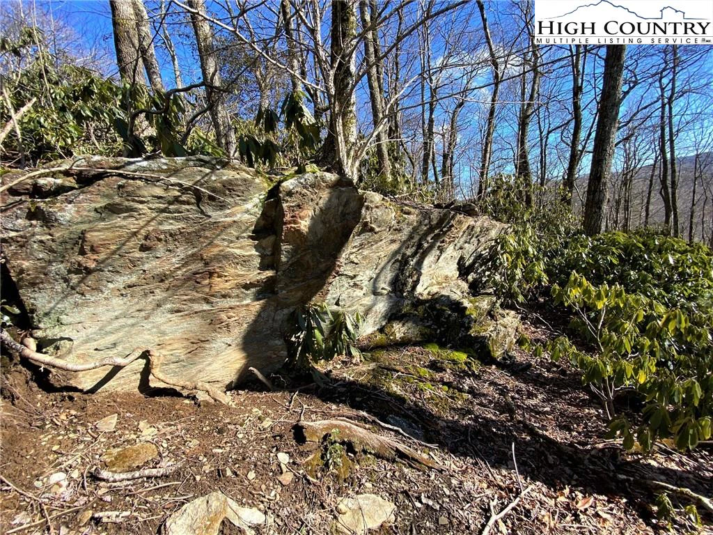 Image number 5 for the current listing