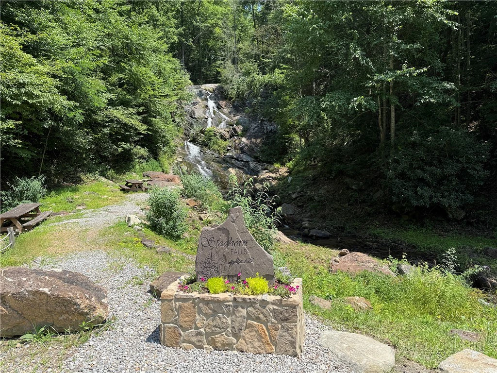 Image number 15 for the current listing