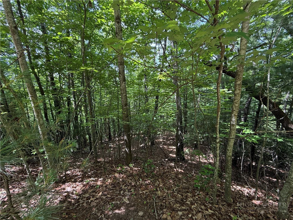 Image number 2 for the current listing