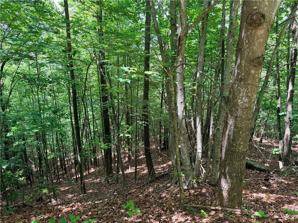 Image number 5 for the current listing