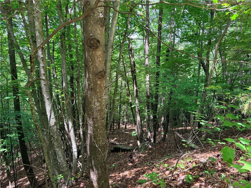 Image number 6 for the current listing