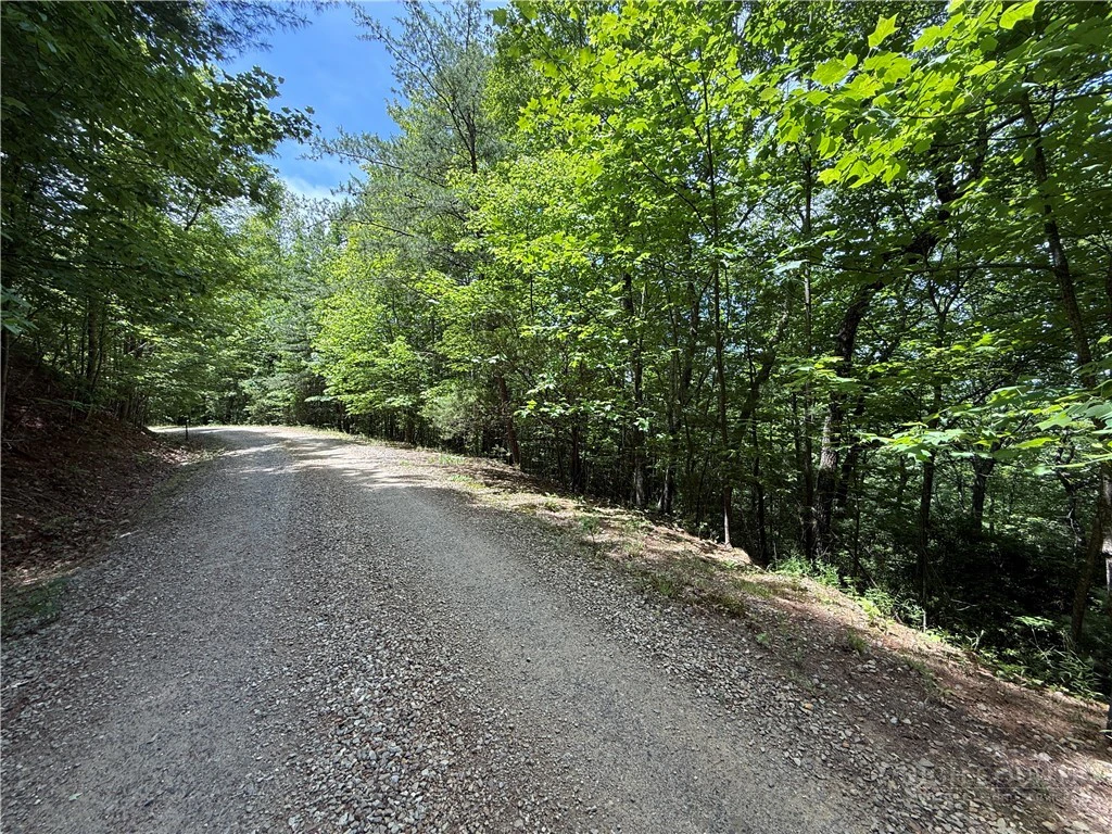 Image number 4 for the current listing