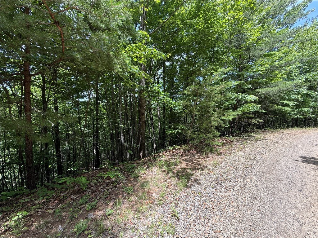 Image number 11 for the current listing