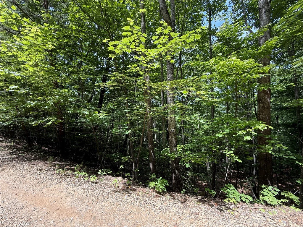 Image number 7 for the current listing