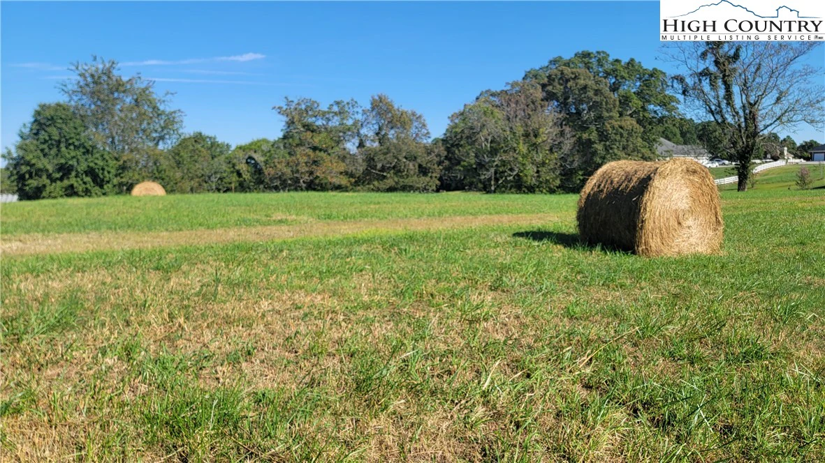 Image number 1 for the current listing