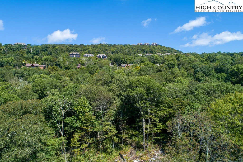 Image number 3 for the current listing