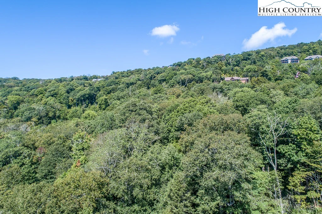 Image number 7 for the current listing
