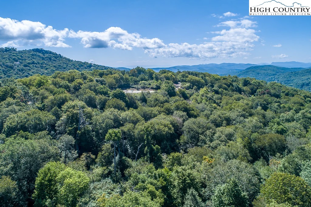 Image number 2 for the current listing