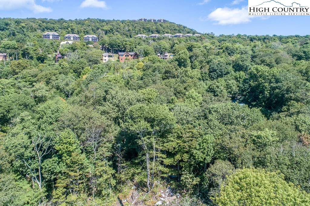 Image number 12 for the current listing