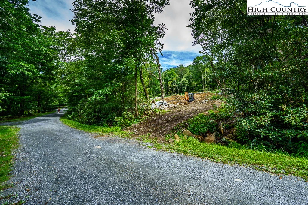 Image number 1 for the current listing