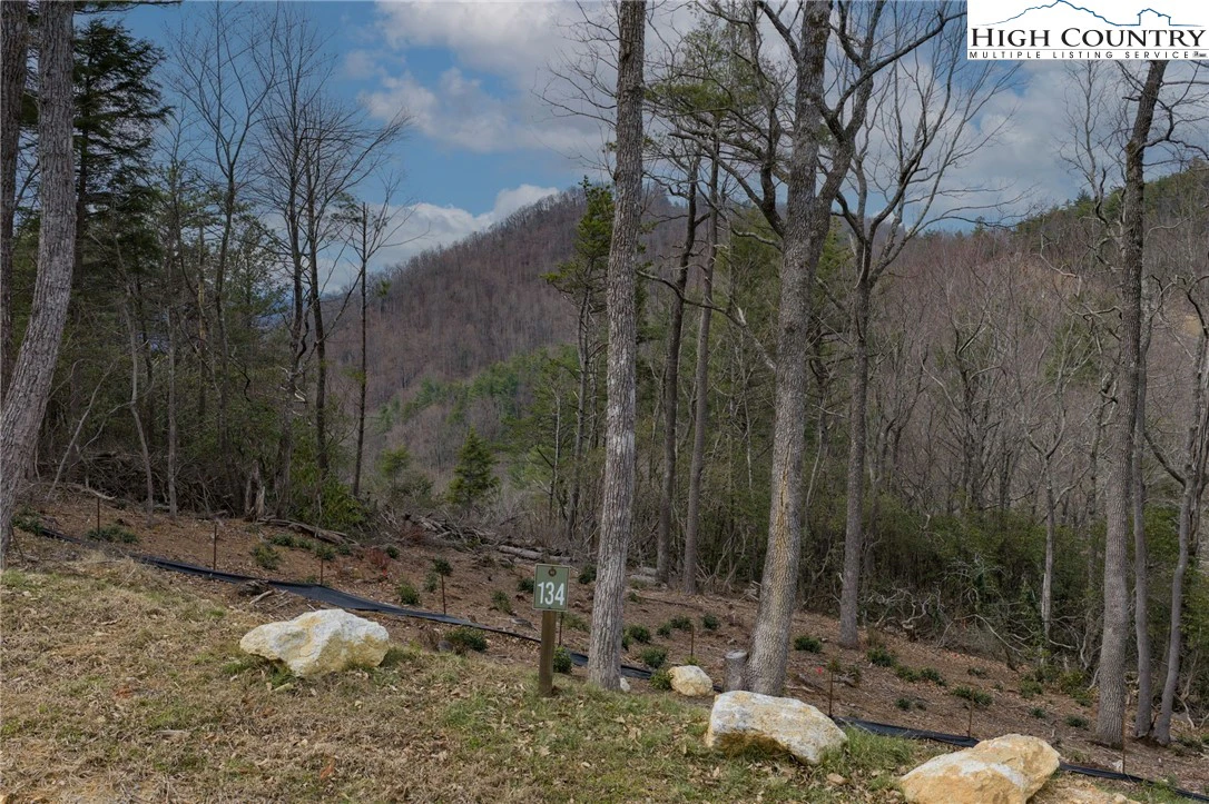 Image number 15 for the current listing