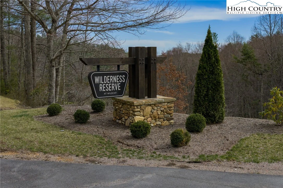 Image number 12 for the current listing
