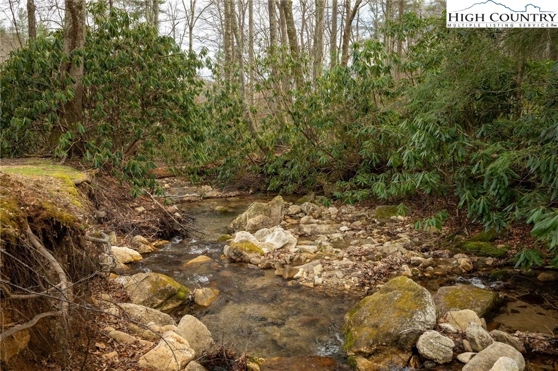 Image number 3 for the current listing