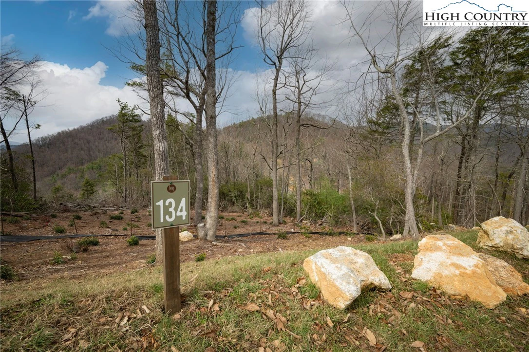 Image number 1 for the current listing