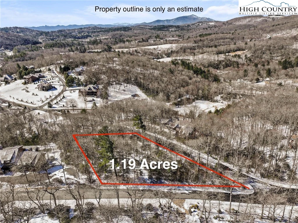 Image number 1 for the current listing