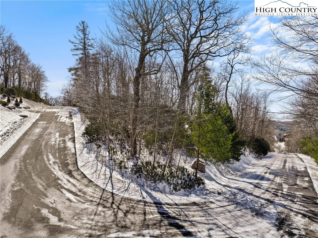 Image number 11 for the current listing