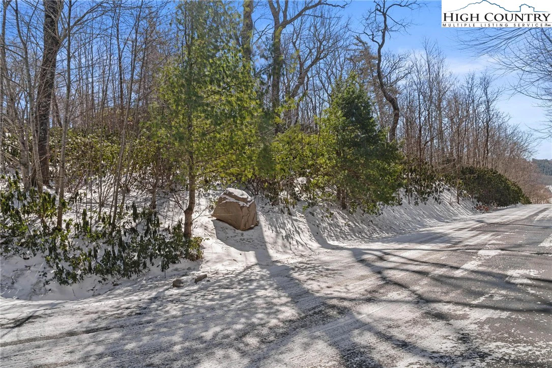 Image number 3 for the current listing