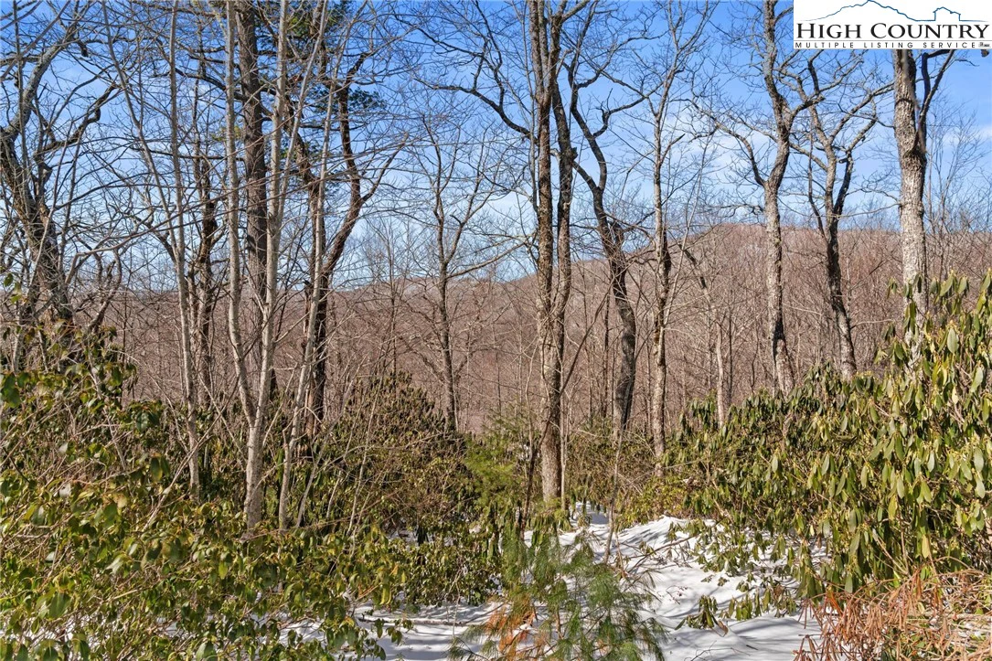 Image number 13 for the current listing