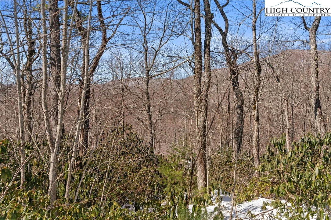 Image number 14 for the current listing
