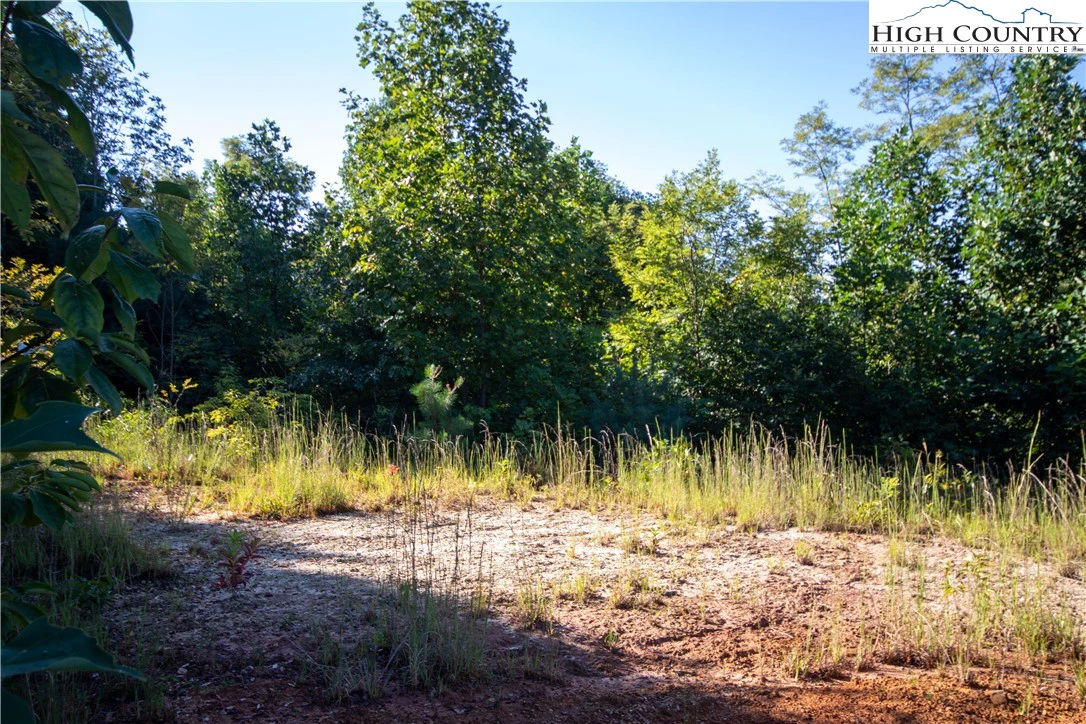 Image number 20 for the current listing