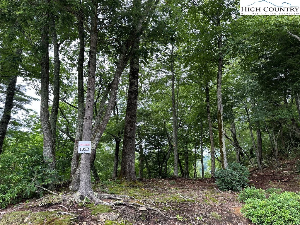 Image number 1 for the current listing