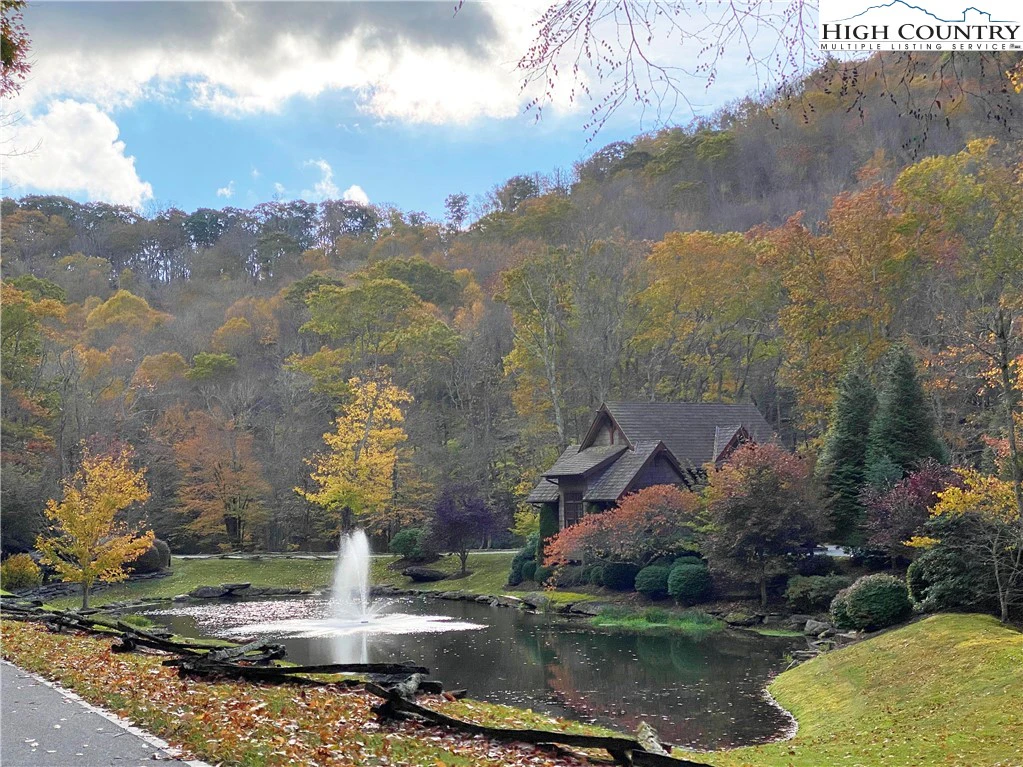 Image number 15 for the current listing