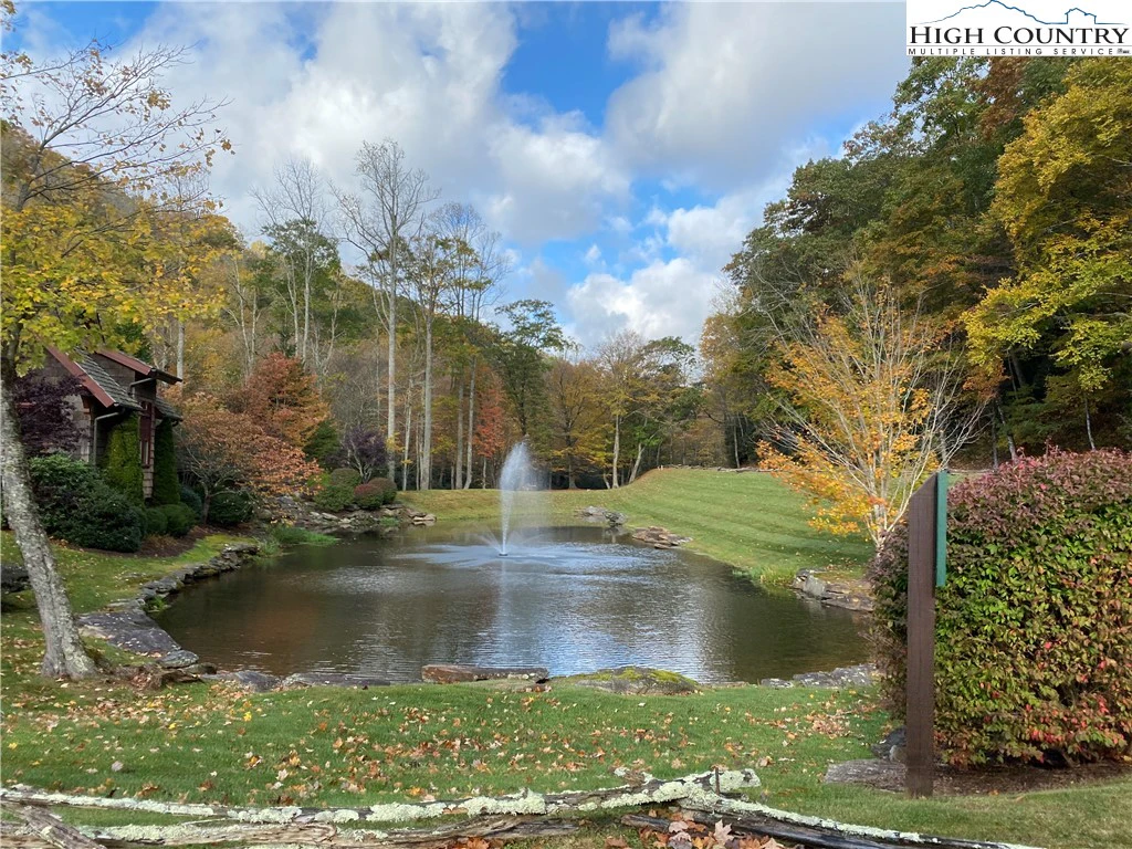 Image number 14 for the current listing