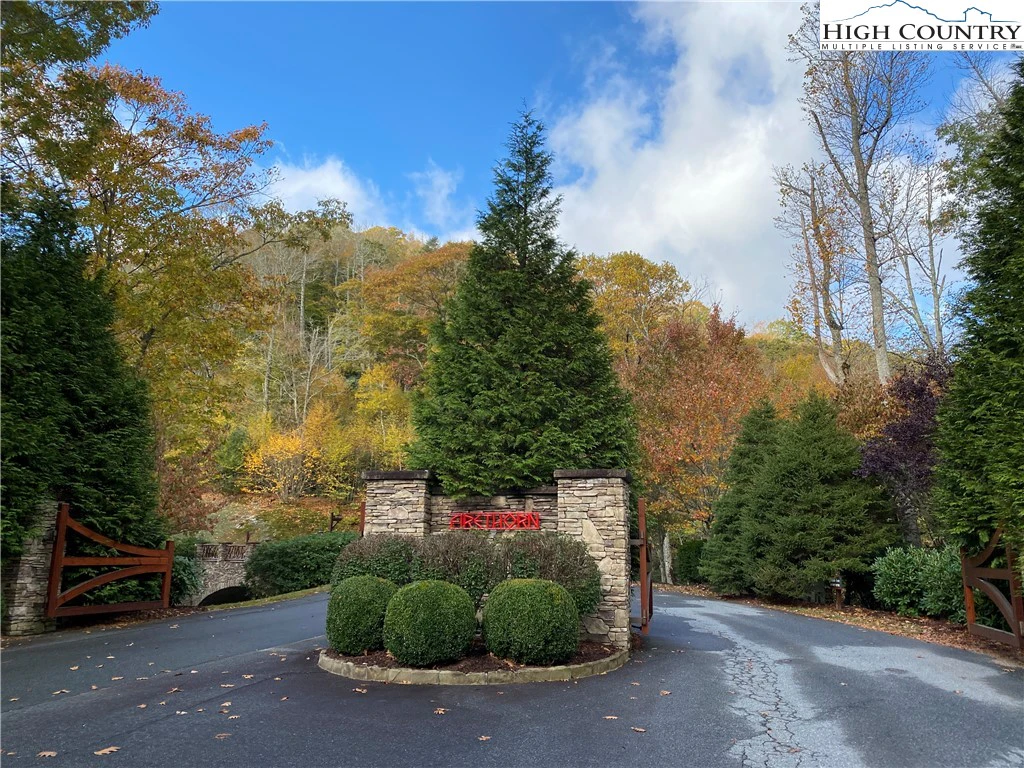 Image number 2 for the current listing