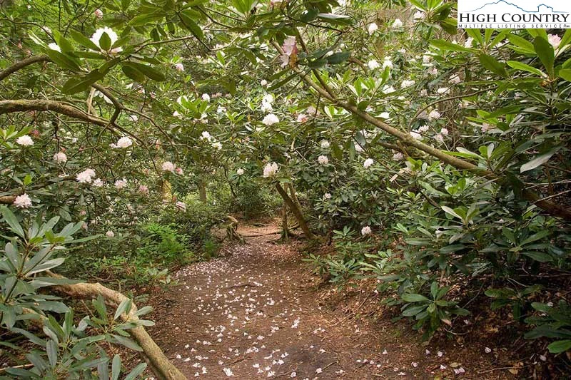 Image number 5 for the current listing
