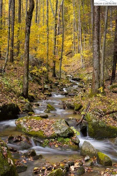 Image number 4 for the current listing