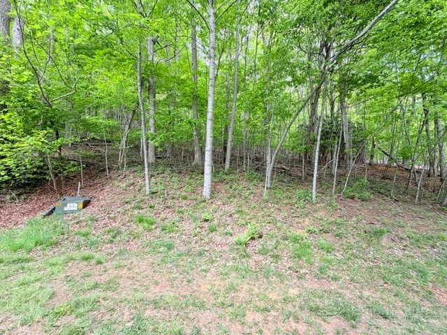 Image number 3 for the current listing