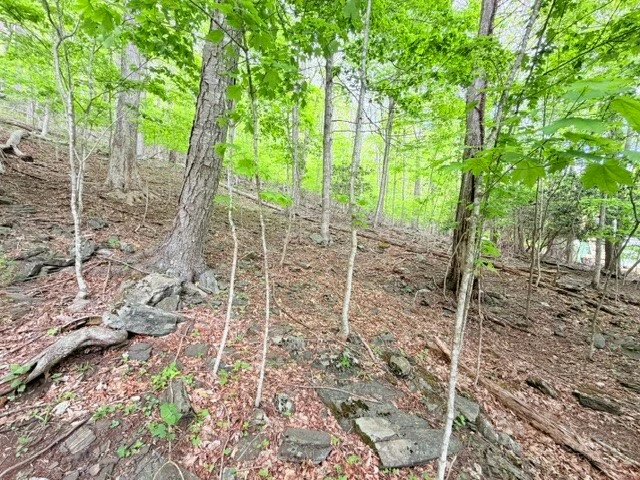 Image number 4 for the current listing