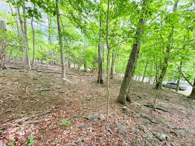 Image number 5 for the current listing