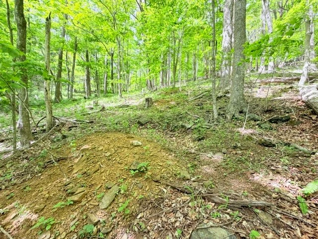Image number 6 for the current listing