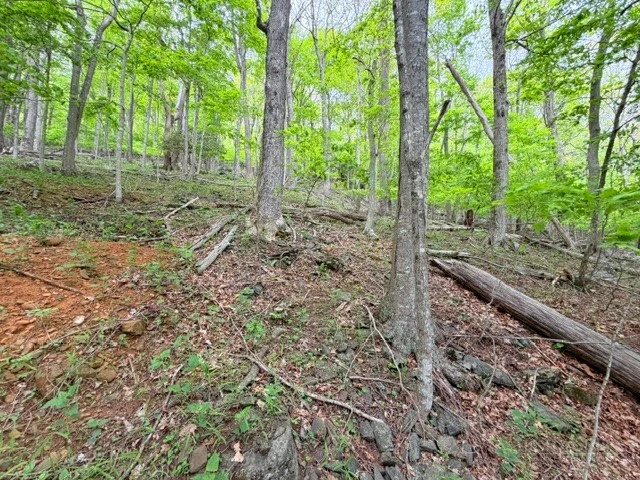Image number 8 for the current listing