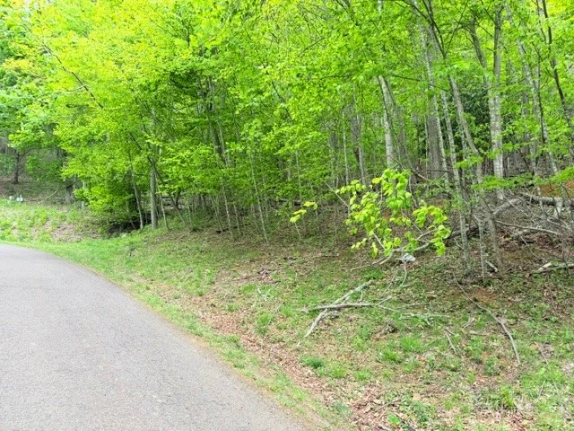 Image number 9 for the current listing