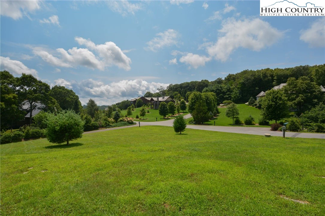 Image number 1 for the current listing