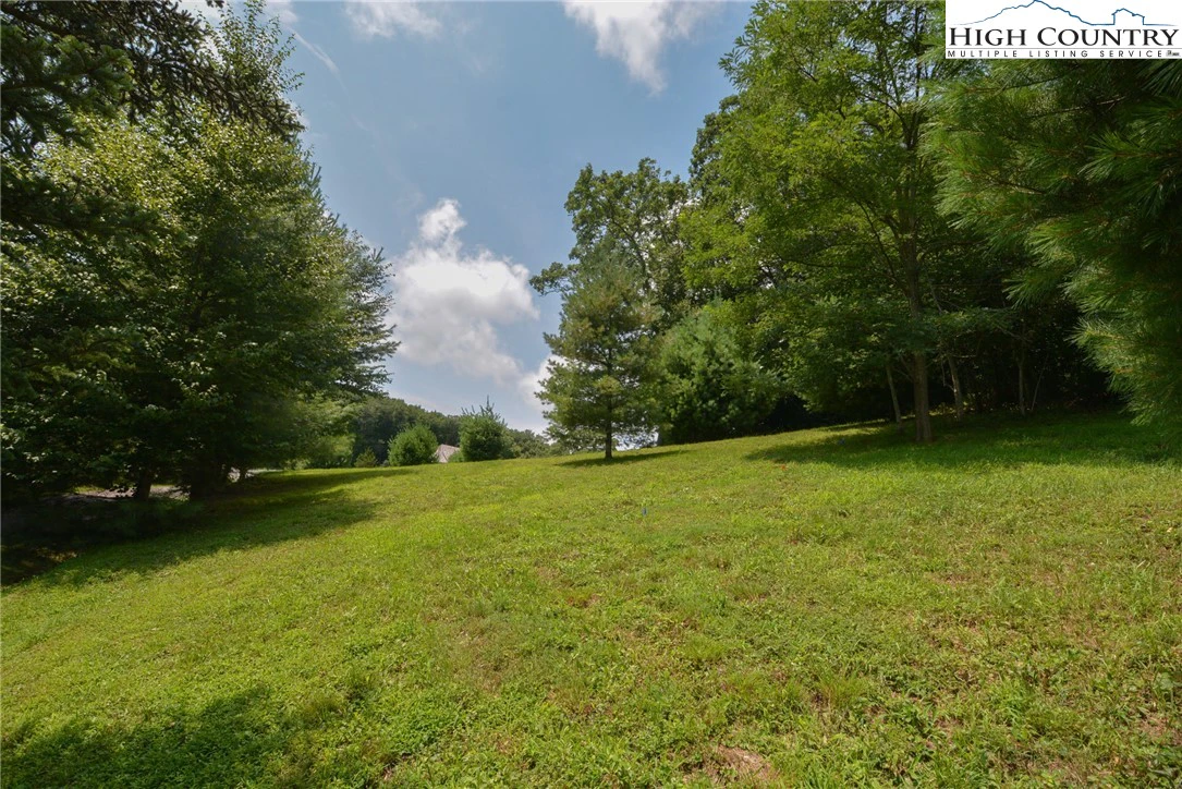 Image number 4 for the current listing