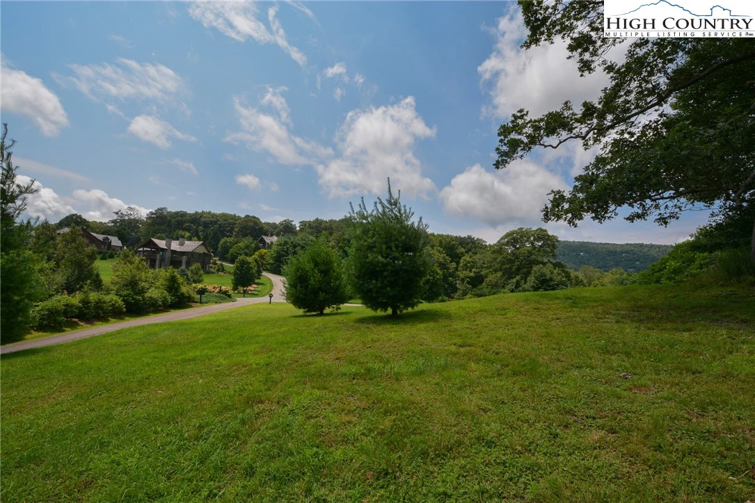Image number 5 for the current listing