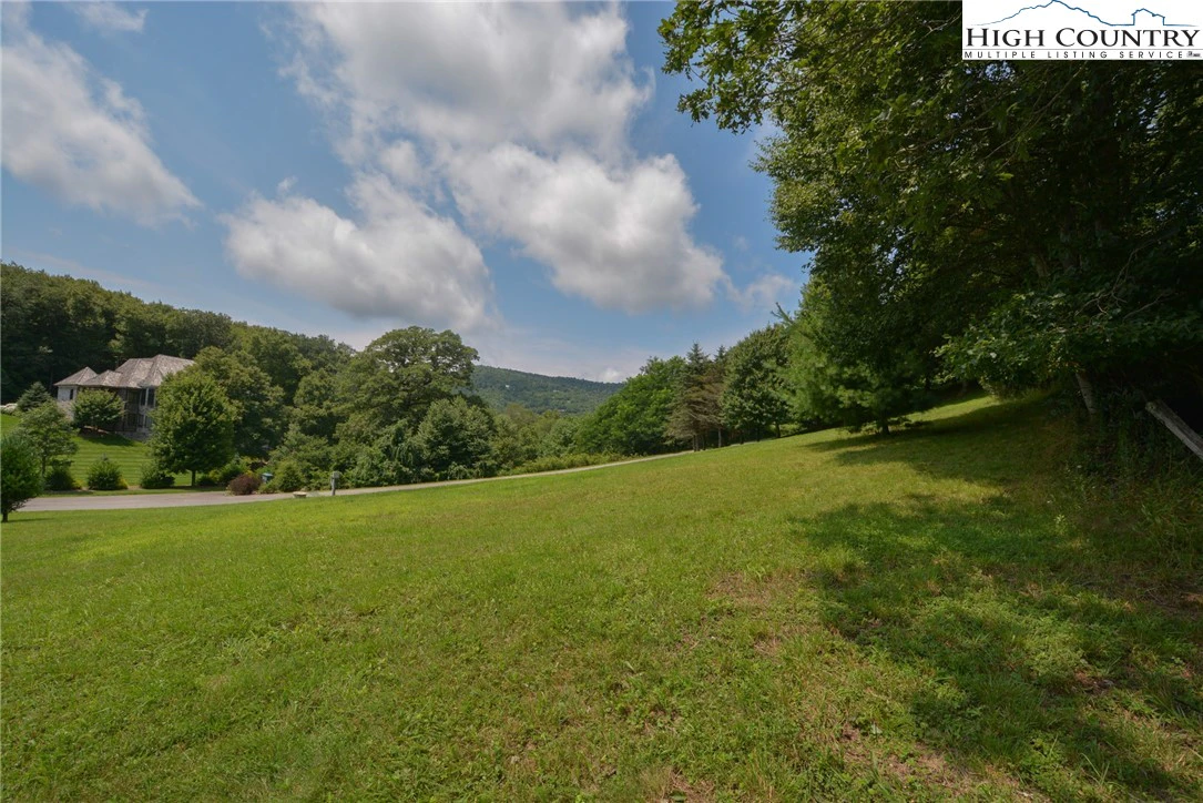 Image number 6 for the current listing