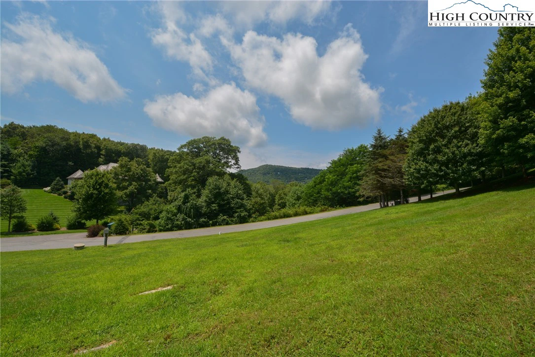 Image number 7 for the current listing
