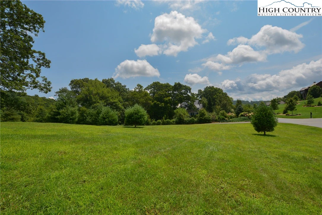 Image number 8 for the current listing