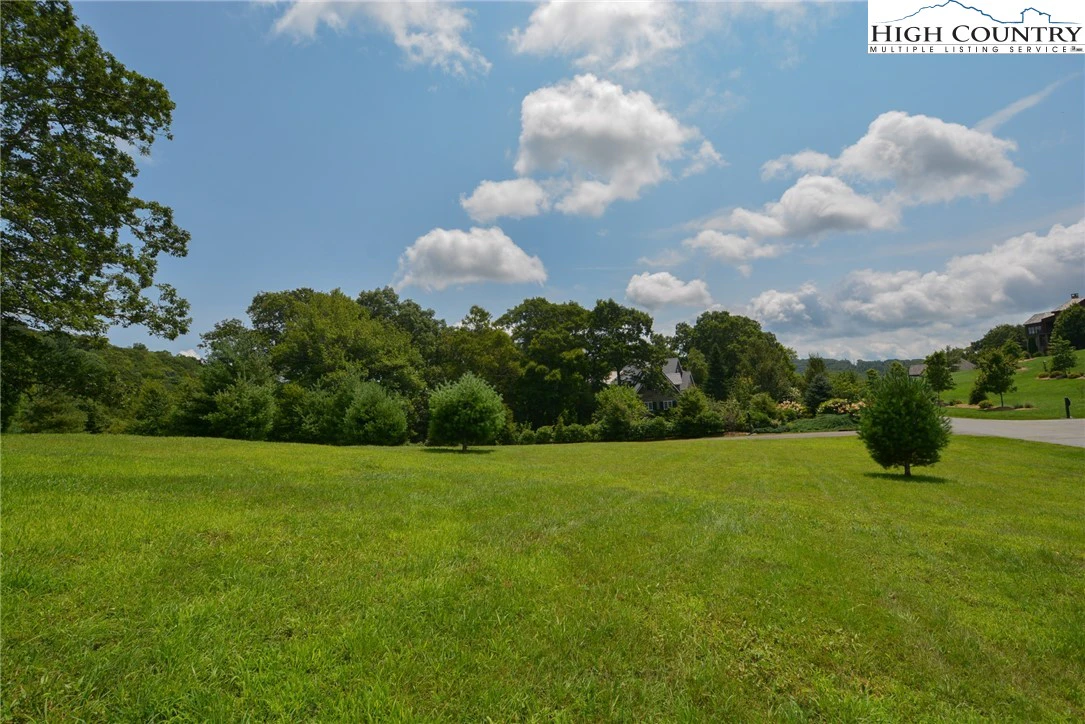 Image number 10 for the current listing