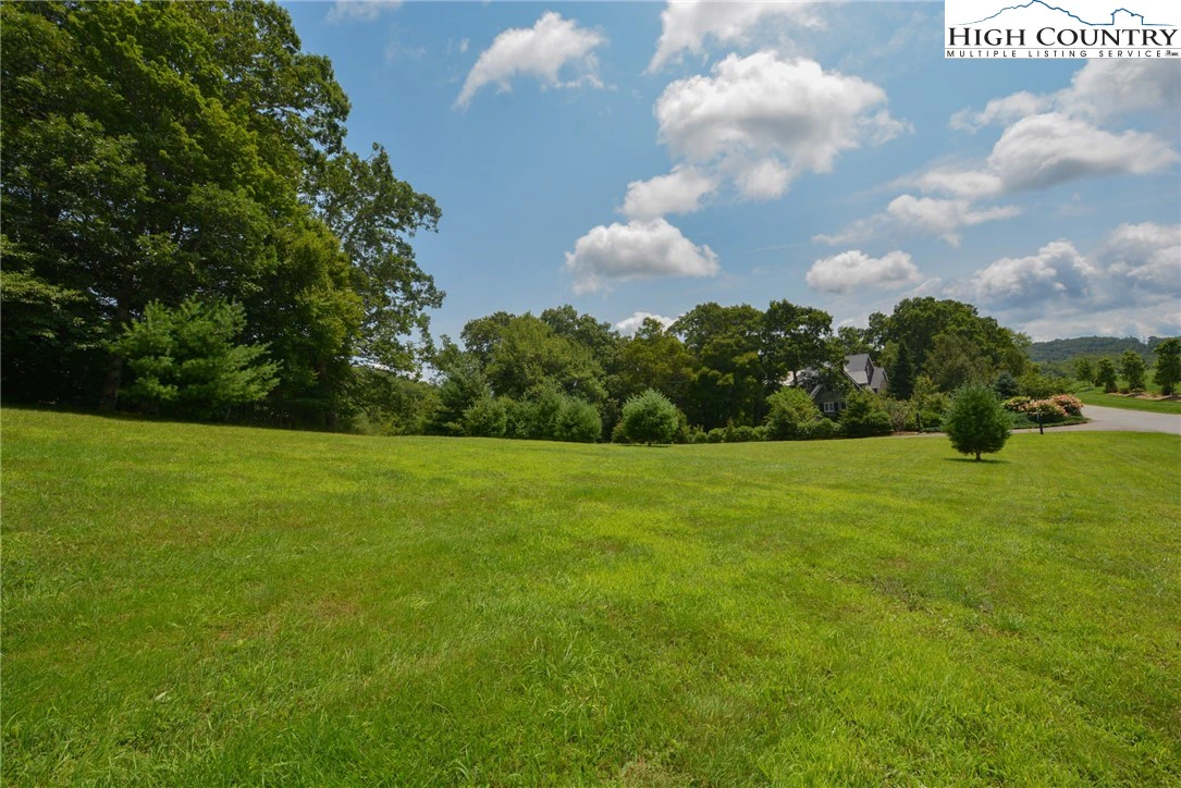 Image number 11 for the current listing