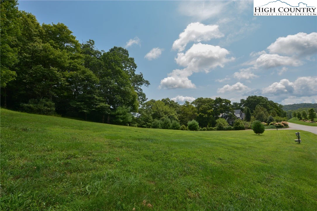 Image number 12 for the current listing