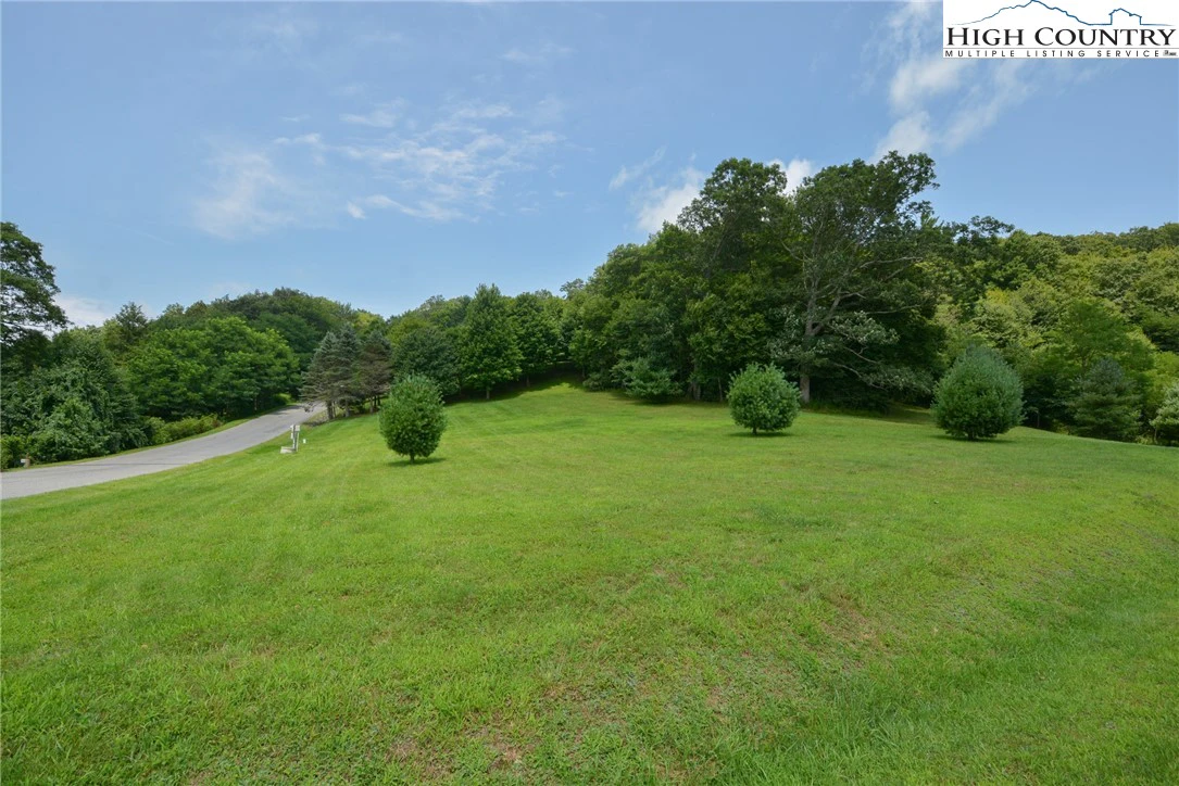 Image number 14 for the current listing