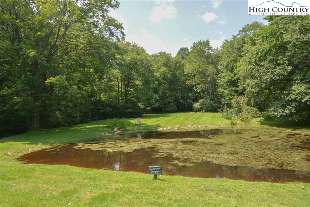Image number 15 for the current listing